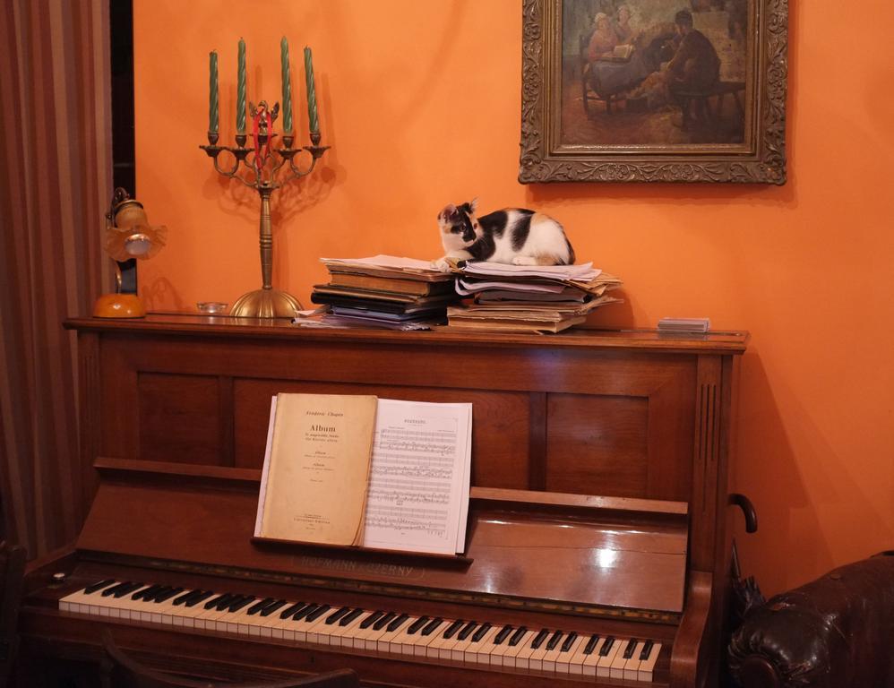 Piano Guest House 크라쿠프 외부 사진